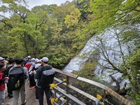 湯滝のマイナスイオンが癒してくれます