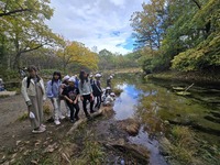 戦場ヶ原の水はきれいです