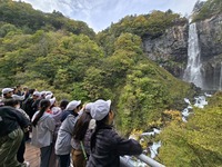 観瀑台から滝を見ました