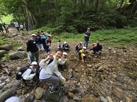 川の水にふれ合っています