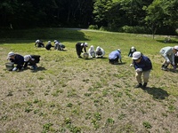 多目的広場の小石拾い