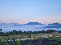 早朝にきれいな雲海が見られました