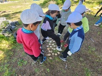 協力して1から30まで順番に踏みます