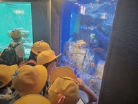 いろとりどりの魚がきれいです