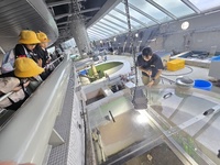 えさやりの瞬間に遭遇です