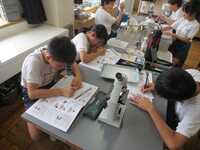 観察結果をプリントに記録します