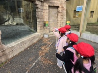 お目当てのホワイトタイガーです