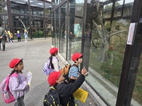 さるの素早い動きに驚きです