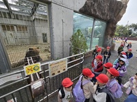 間近で見た熊ほ大きいよ