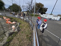 フラミンゴの片足だちはすごい