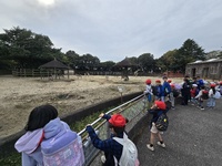 キリンとシマウマをまったりと眺めました