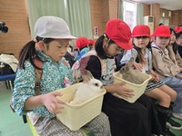 うさぎとのふれ合い