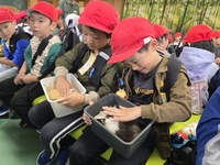 モルモットとのふれ合い