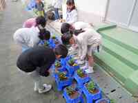 水をたっぷりあげました