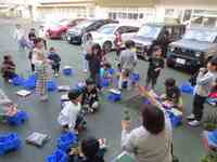 植えたいビオラを選びました