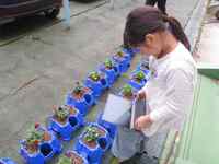 さっそくタブレットで記録写真を撮影しました