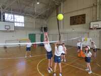 どっちに軍配が上がるかな?