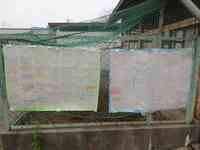 チャッピーへの手紙です