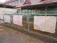 チャッピーへの手紙です