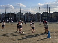 男女ともに元気にプレーしています