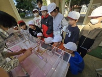 見沼通船堀の実験