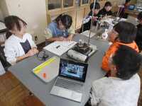 役割分担をして実験をします