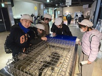 中にオオサンショウウオが