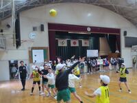 リバウンドを狙え!