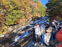 龍頭の滝は紅葉で彩り豊かです