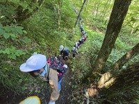 急な上り坂を登っていきます