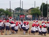 今回は5点の僅差で紅組が優勝しました。